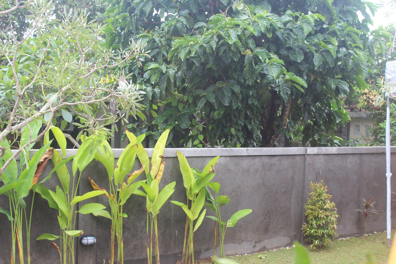 Adi Bali Homestay Uluwatu Zewnętrze zdjęcie